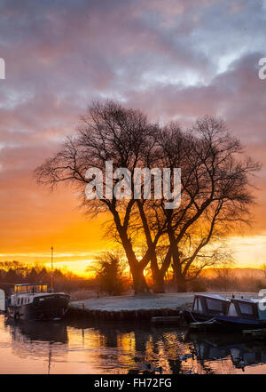 Alba sul Rufford, Burscough, Preston, Lancashire, Regno Unito 16 Febbraio, 2016. Regno Unito Meteo. Un molto freddo e gelido inizia con abbondanza di sole a venire per houseboats residenti presso il St Mary's Marina, situato in una bellissima zona tranquilla di Rufford ramo del Leeds - Liverpool Canal. Foto Stock