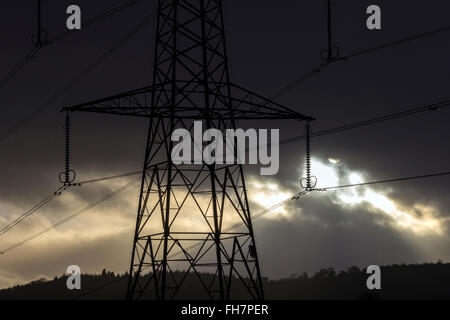 Tralicci di elettricità nel Devon , uk, potenza, linee, trasformatore, rete, campo, alta torre, sun, tramonto, tensione, erba, alberi, NOB Foto Stock