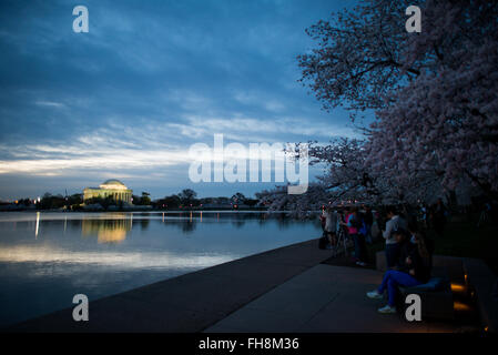 WASHINGTON DC - fotografi e visitatori si riuniscono lungo il bacino delle maree prima dell'alba per vedere i ciliegi in fiore al picco della fioritura. Il Jefferson Memorial è visibile dall'altra parte dell'acqua, circondato da alberi fioriti che furono un dono del Giappone nel 1912. Foto Stock