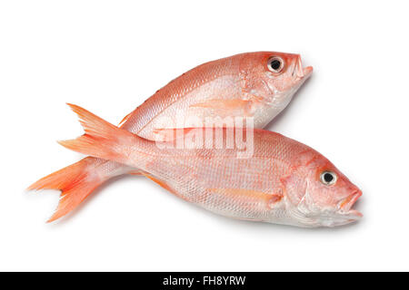 Crudo fresco lutiani rosso su sfondo bianco Foto Stock