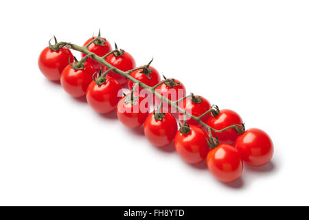 Mini freschi pomodori ciliegia su una vite su sfondo bianco Foto Stock