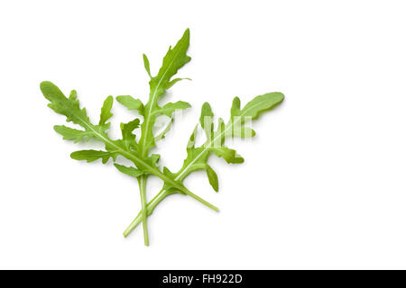 Materie fresche foglie di rucola su sfondo bianco Foto Stock