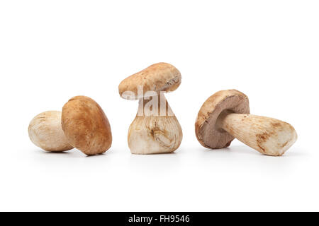 Intero crudo fresco funghi porcini isolati su sfondo bianco Foto Stock