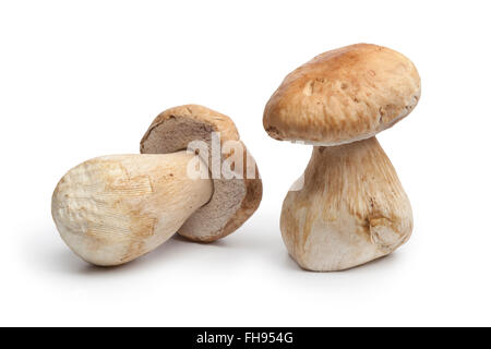 Intero crudo fresco funghi porcini isolati su sfondo bianco Foto Stock