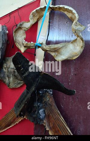 Shark jaw - Mercato di PAITA. Dipartimento di Piura .PERÙ Foto Stock