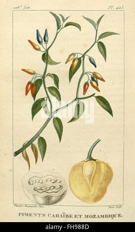 Flore médicale des Antilles, un trattato botanico sulle piante medicinali delle Indie occidentali, che documenta le specie vegetali locali utilizzate per scopi medicinali, ospitato nel Missouri Botanical Garden Peter H. Raven Library. Foto Stock