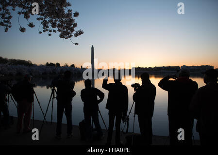 WASHINGTON DC: I fiori di ciliegio fioriscono lungo il bacino delle maree mentre i fotografi sagomati si riuniscono all'alba per catturare la vista del monumento a Washington. Questa scena è una parte popolare dell'annuale National Cherry Blossom Festival, che celebra il dono 1912 degli alberi provenienti dal Giappone. Foto Stock