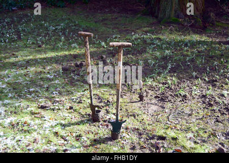 Due piantagione picche tra appena piantato snowdrops in un giardino Foto Stock