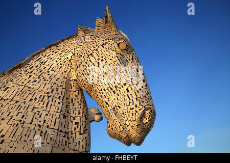 Il Kelpies, il più grande del mondo di sculture di cavalli, a Falkirk, Scotland, Regno Unito Foto Stock