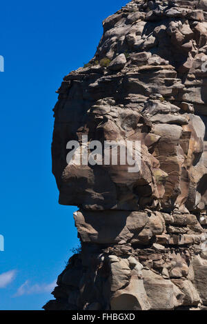 Una faccia di uno dei due pinnacoli di roccia camino monumento nazionale - Southern Colorado Foto Stock