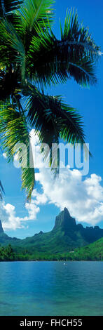 Immagine panoramica del picco Mouaroa sopra baia Opunohu con palme a sbalzo sull'Isola di Moorea in Polinesia francese Foto Stock