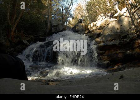 Una cascata in Dolly zolle deserto Monongahela National Forest Foto Stock