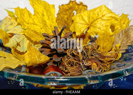 Decorativo disposizione di autunno Foto Stock
