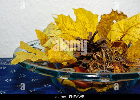 Decorativo disposizione di autunno Foto Stock
