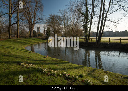 Oxford, Regno Unito. Il 25 febbraio 2016. Regno Unito Meteo. Prato di Christchurch in una fredda e soleggiata per iniziare la giornata. Foto: Andrew Walmsley/Alamy Live News Foto Stock