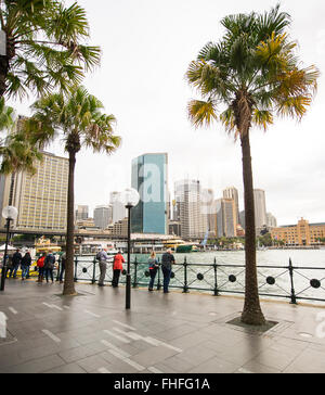 La Circular Quay, il quartiere centrale degli affari e per i passeggeri dei traghetti nel porto di Sydney, Nuovo Galles del Sud, Australia. Foto Stock