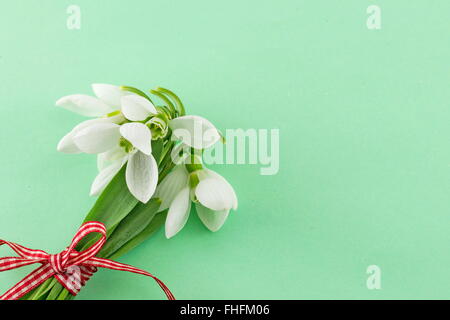 Snowdrops fresco bouquet con un nastro su uno sfondo morbido Foto Stock