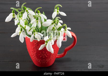 Snowdrops fresco bouquet in un vaso improvvisato su sfondo scuro Foto Stock