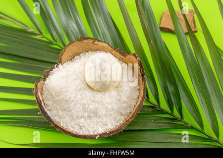 Polvere di noce di cocco e dessert in guscio di noce di cocco sul verde Foto Stock