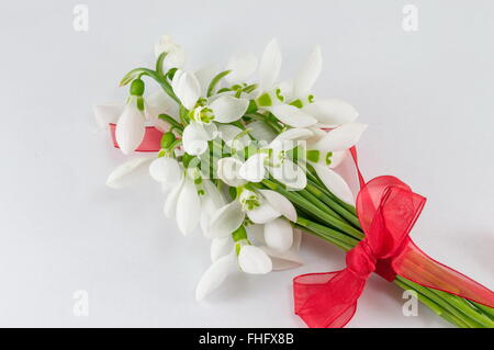 Romantico bucaneve bouquet su sfondo bianco Foto Stock
