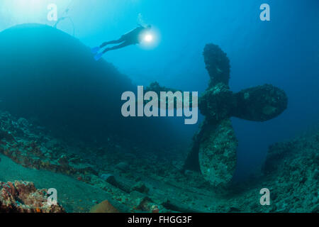 Subacqueo in immersione al relitto Umbria, Wingate Reef, Mar Rosso, Sudan Foto Stock