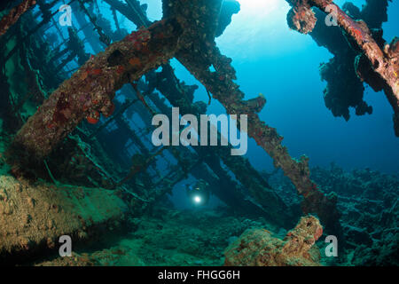 Subacqueo in immersione al relitto Umbria, Wingate Reef, Mar Rosso, Sudan Foto Stock