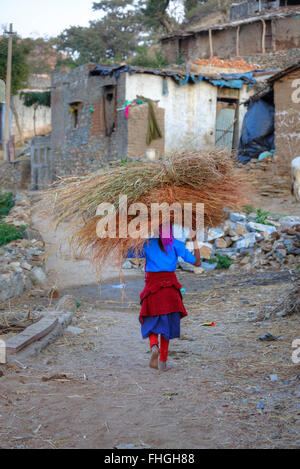 La donna che porta il fieno sulla sua testa attraverso un villaggio rurale nel Rajasthan, India Foto Stock