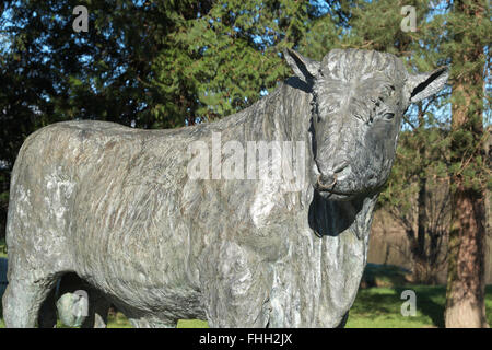 Builth Wells Powys Galles - vita dimensioni scultura in bronzo di un Welsh Black Bull per artista Gavin Fifield Foto Stock