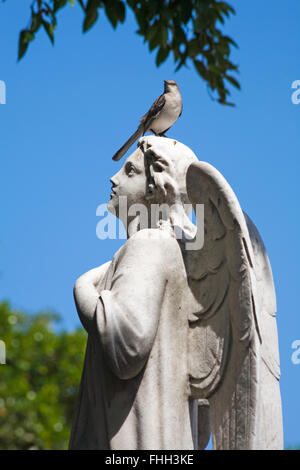 Statua scultura sulla tomba al cimitero di Colon, Havana, Cuba, West Indies, Caraibi, America Centrale - bird permanente sulla statua Foto Stock