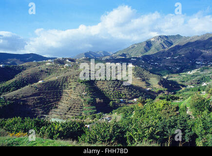 Paesaggio. Sierra de Malaga, provincia di Malaga, Andalusia. Foto Stock