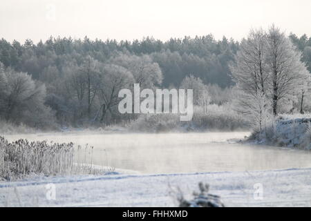 Nebbia invernale sotto flusso di fiume coperto shine rime foresta ed erba sulle rive Foto Stock