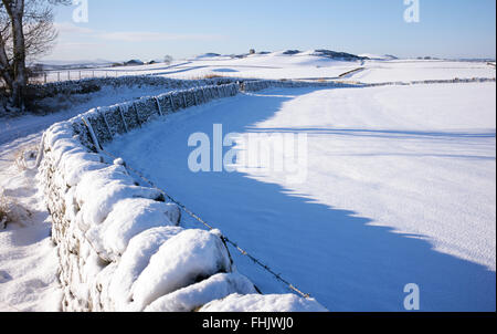 Asciugare la parete in pietra ricoperta di neve in inverno. Scottish Borders. Scozia Foto Stock