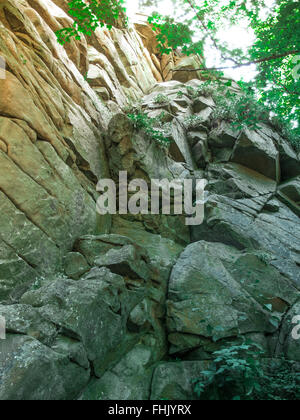 Buky canyon nella regione Cherkassy, Ucraina. River Mountain Tikich. Foto Stock