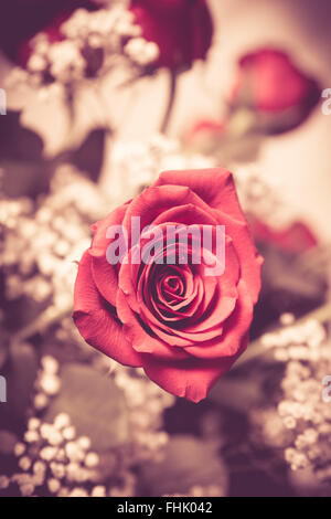 Bel bouquet di rose rosa e bambinos respiro con tono vintage. Foto Stock