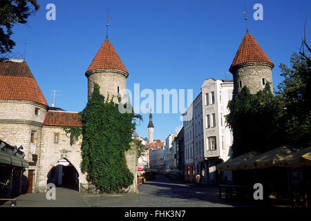 Estonia, Tallinn, città vecchia, porta Viru Foto Stock