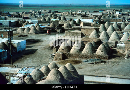 Vista su Adobe Mud-Brick Beehive case a Harran, Turchia Foto Stock