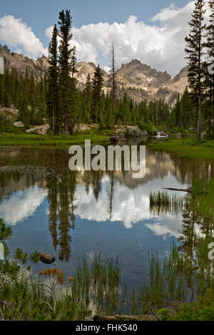 ID00425-00...IDAHO - Le nuvole riflettono in un piccolo tarn sotto Alice Lago del Sawtooth Wilderness Area. Foto Stock