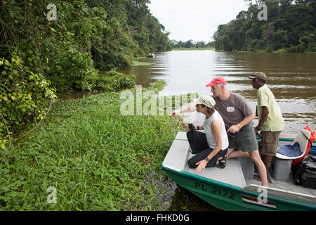 I turisti a guardare caimano NEL PARCO NAZIONALE DI TORTUGUERO Foto Stock