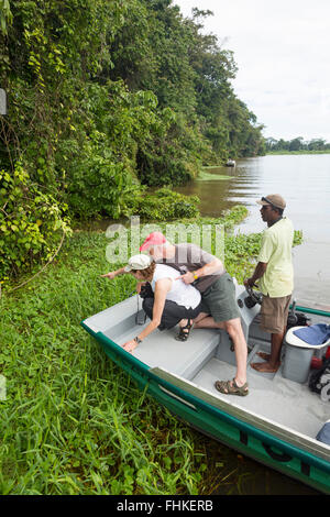 I turisti a guardare caimano NEL PARCO NAZIONALE DI TORTUGUERO Foto Stock