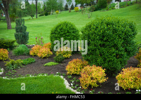 Giardino tranquillo con un fresco prato falciato Foto Stock