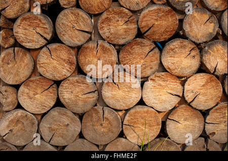 Sfondo di secco di legna da ardere spaccati logs impilati gli uni sugli altri in una pila Foto Stock