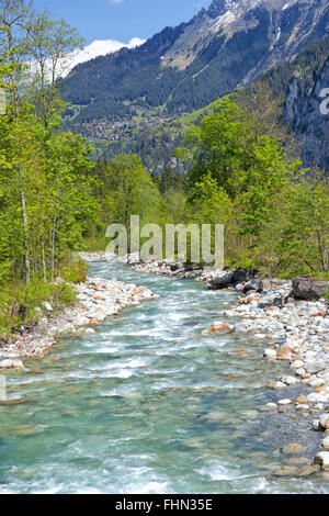 Veloce che scorre attraverso le pietre torrente alpino nella verde valle nelle Alpi, la Svizzera in estate giornata di sole Foto Stock