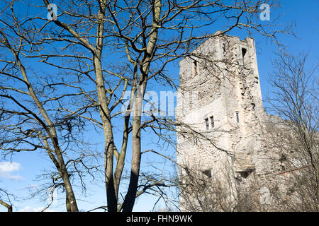 Newark-On-Trent Castle,Nottinghamshire,UK. Foto Stock