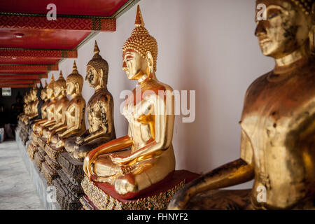Una fila di seduto, Golden Statue di Buddha a Wat Pho, un famoso tempio a Bangkok, in Thailandia Foto Stock