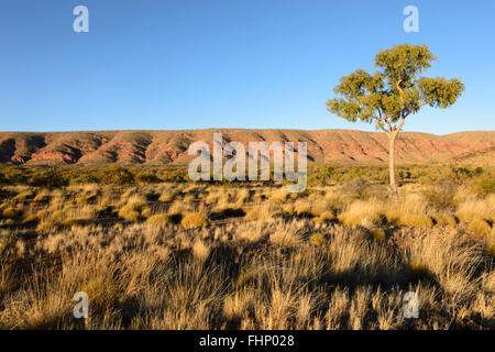 Vista della Catena Montuosa di West MacDonnell, Northern Territory, NT, Australia Foto Stock