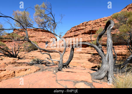 King Canyon, il Territorio del Nord, l'Australia Foto Stock