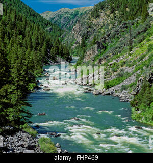 Madison nel fiume beartrap canyon di lee metcalf deserto vicino a norris, montana Foto Stock