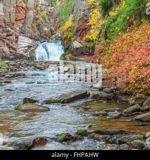 Cascata isolata e i colori dell'autunno lungo tenderfoot creek nel piccolo belt le montagne vicino al bianco delle molle di zolfo, montana Foto Stock