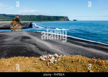 Spiaggia nera e le formazioni rocciose nei pressi di Vik, Islanda. Foto Stock