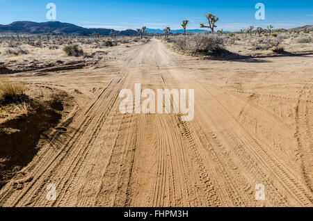 Deserto attraversare strade con tracce di auto e alberi di Joshua di sfondi Foto Stock